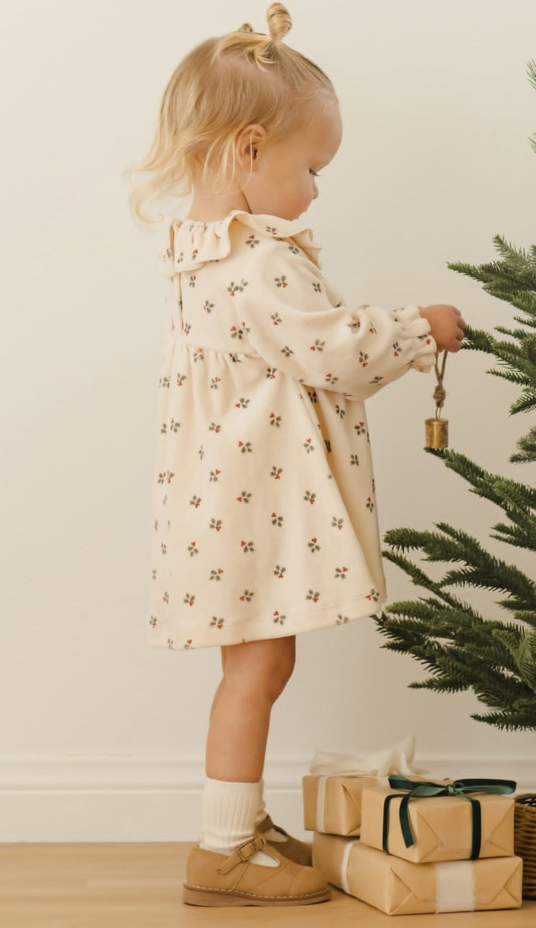 Holly Berry Velour Dress