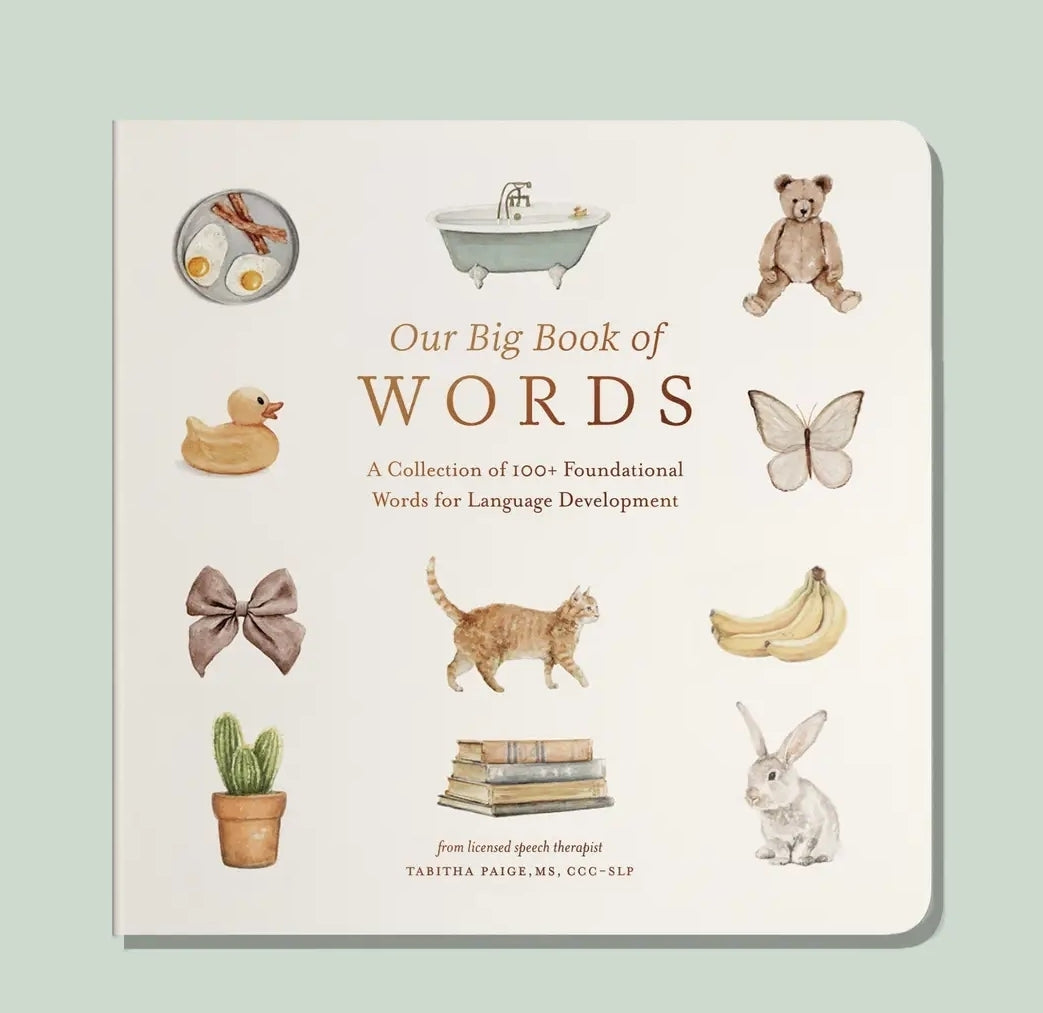 Our Big Book of First Words