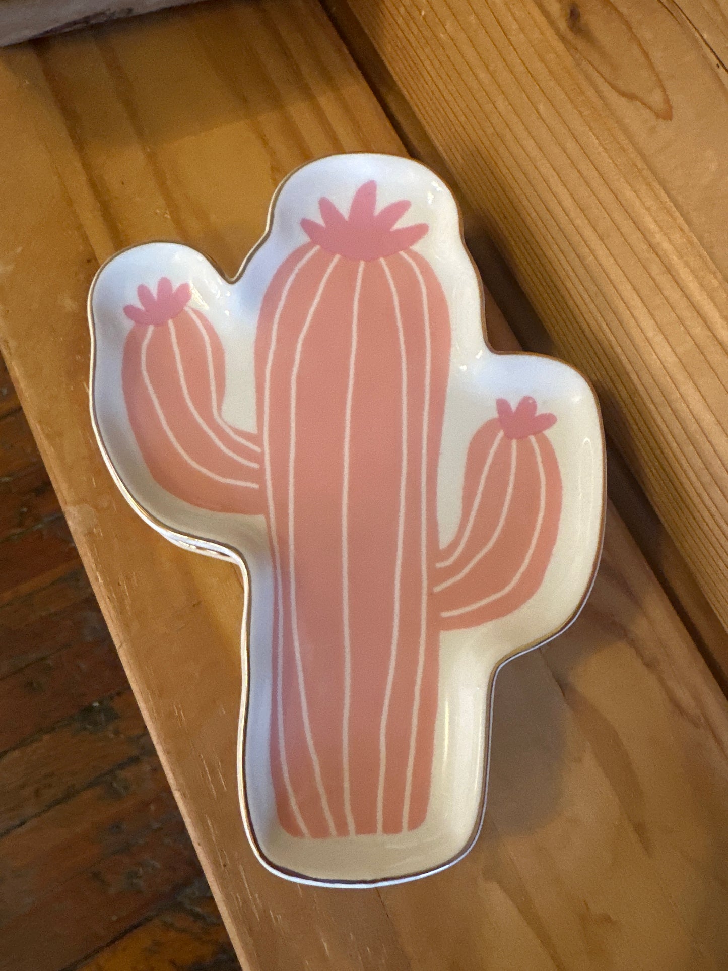 Cactus Tray