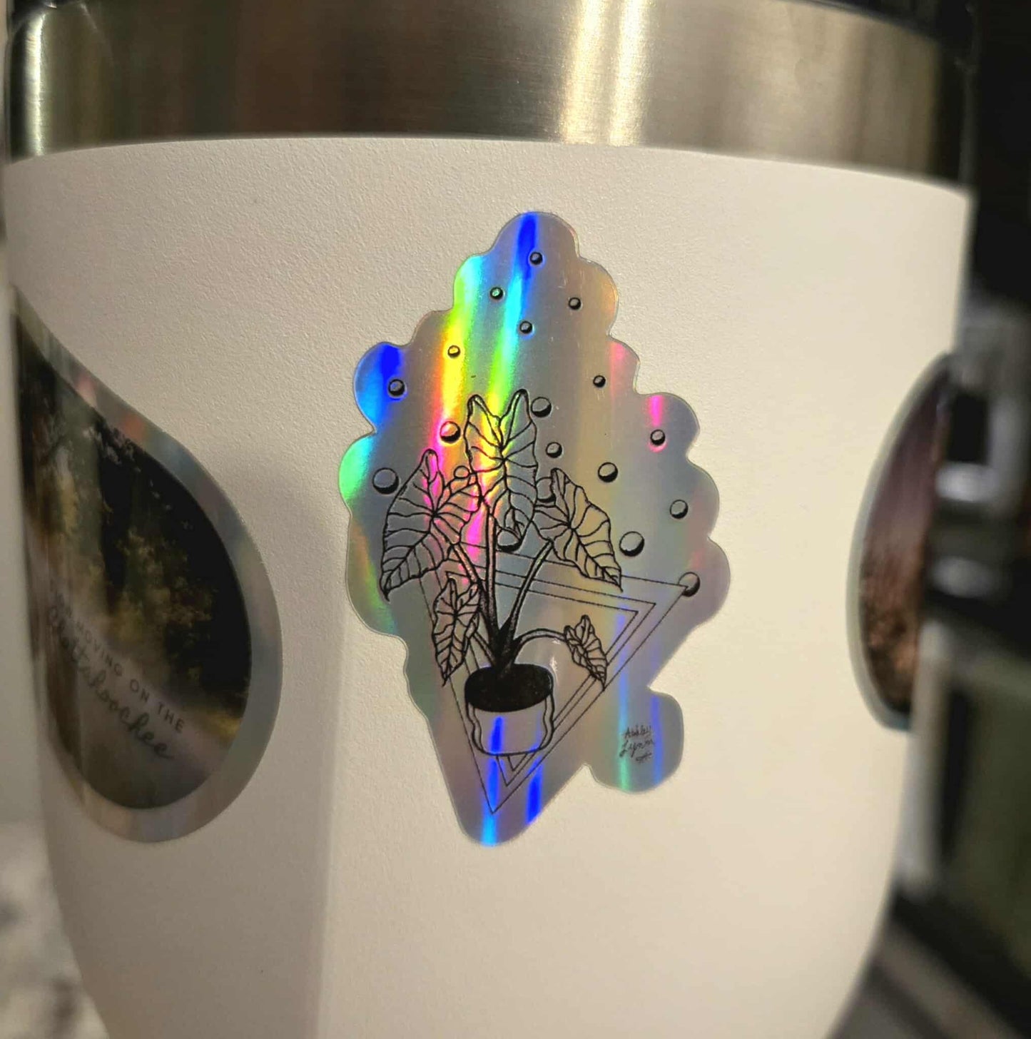 Alocacia Sticker
