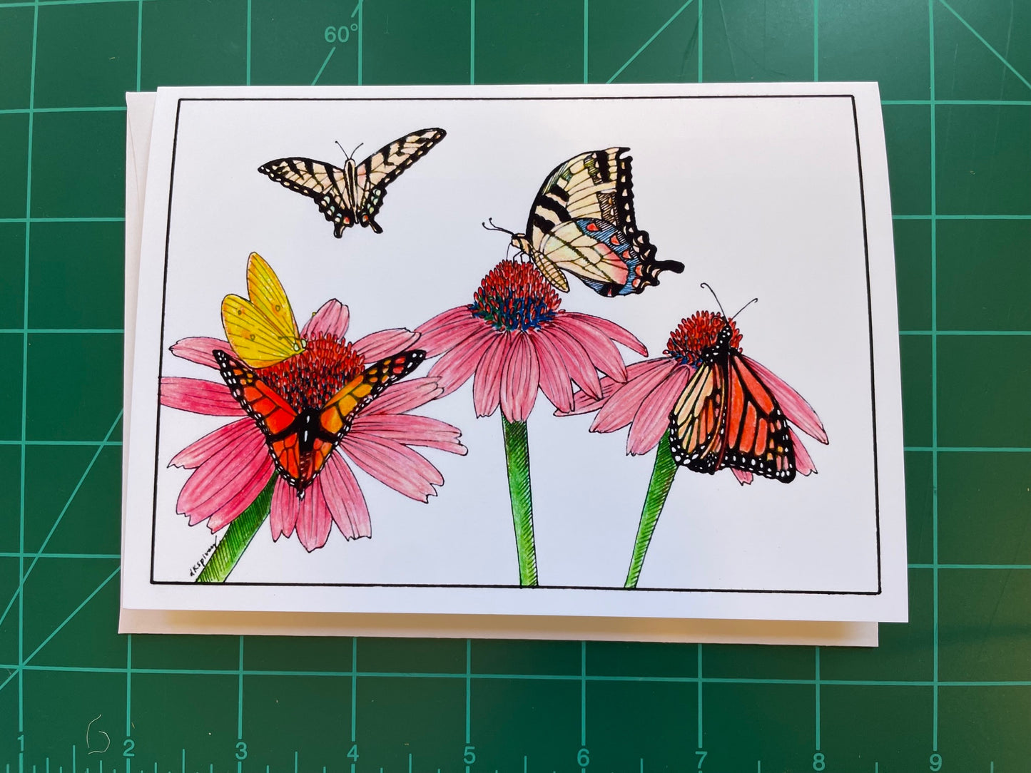Butterfly Image
