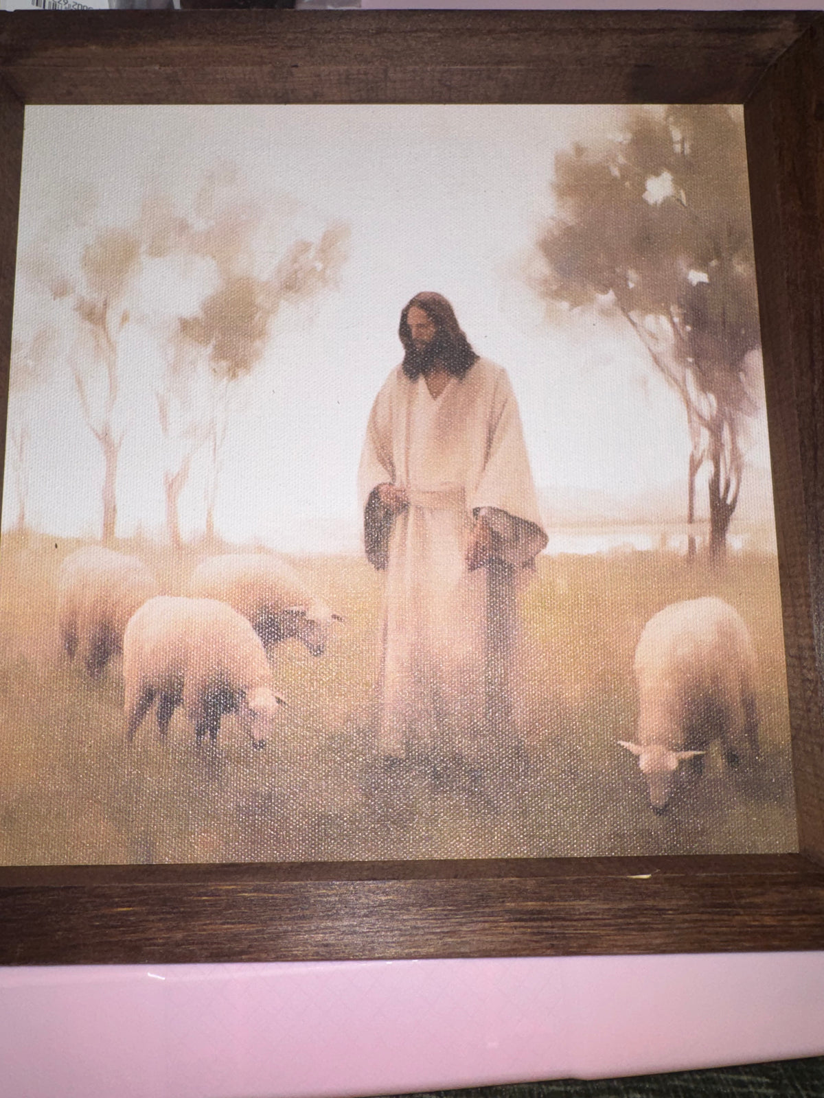 The Good Shepard