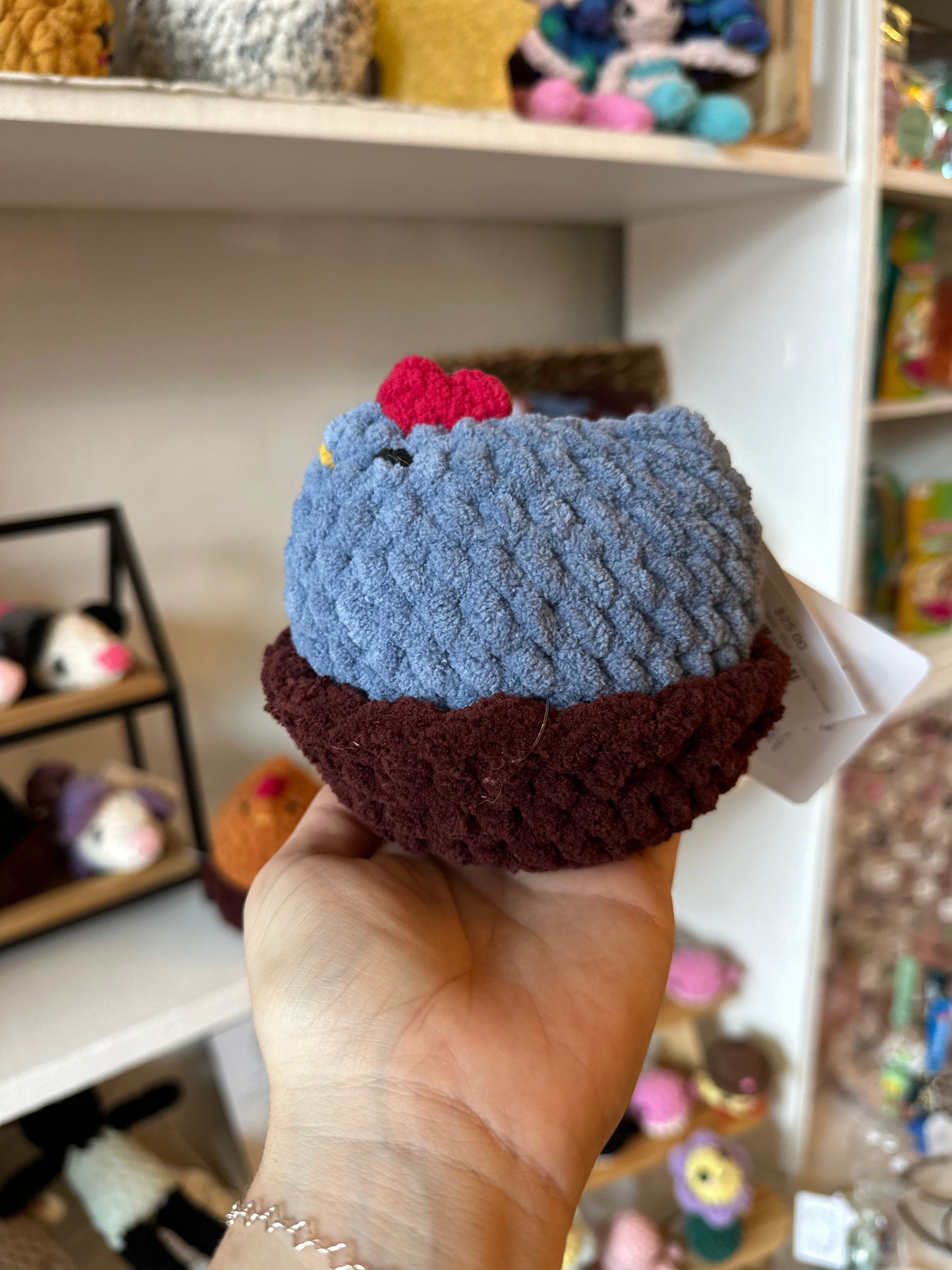 Cozy Chicken with Nest