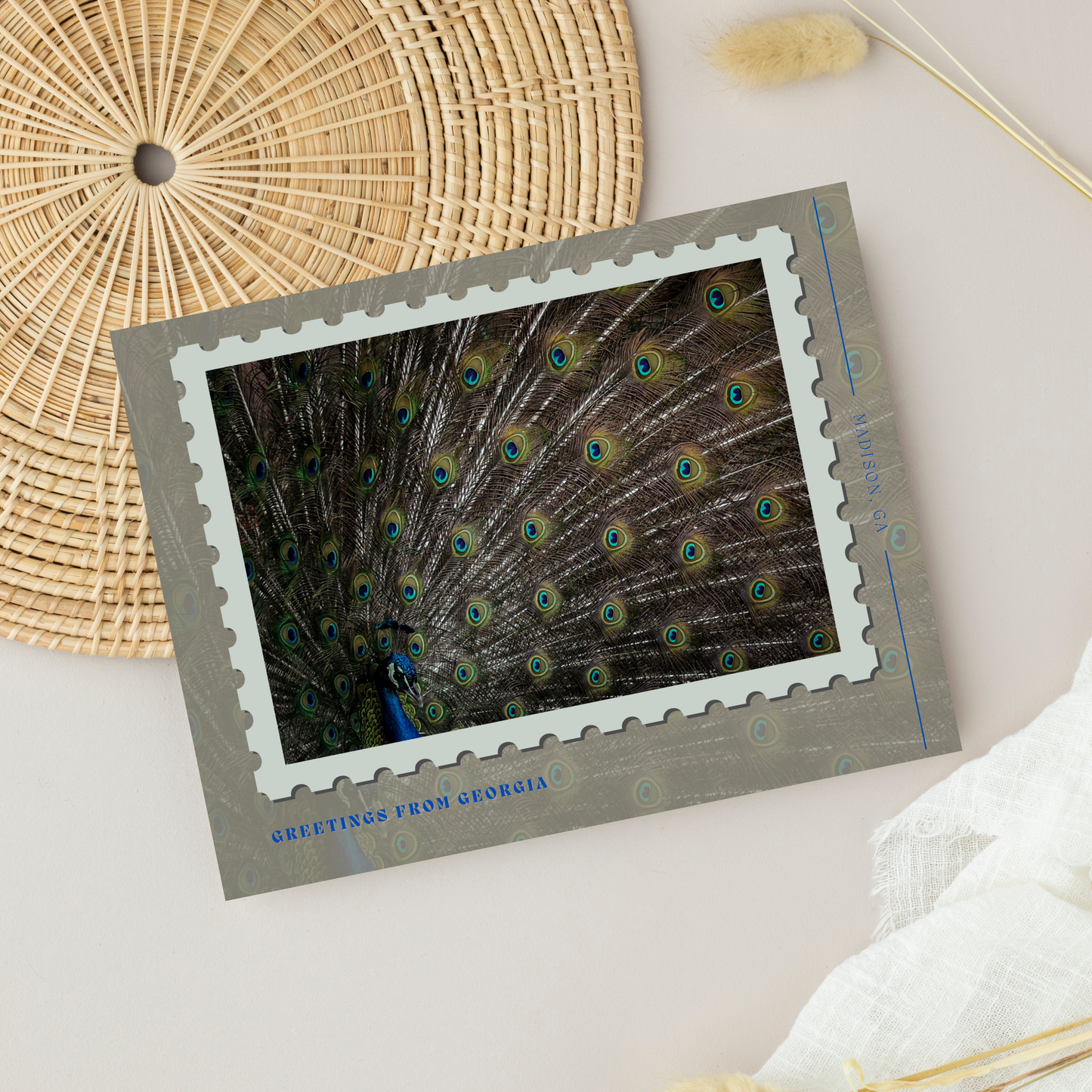 Madison, GA Peacock Postcard