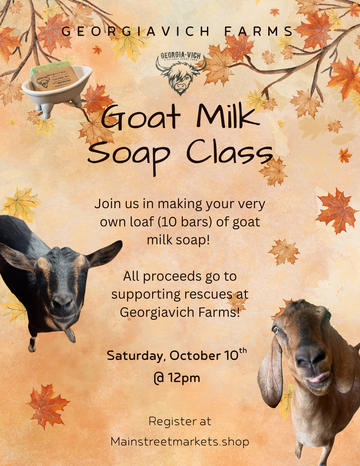 10/10/26 Goat Milk Soap Making Class - Dallas, GA