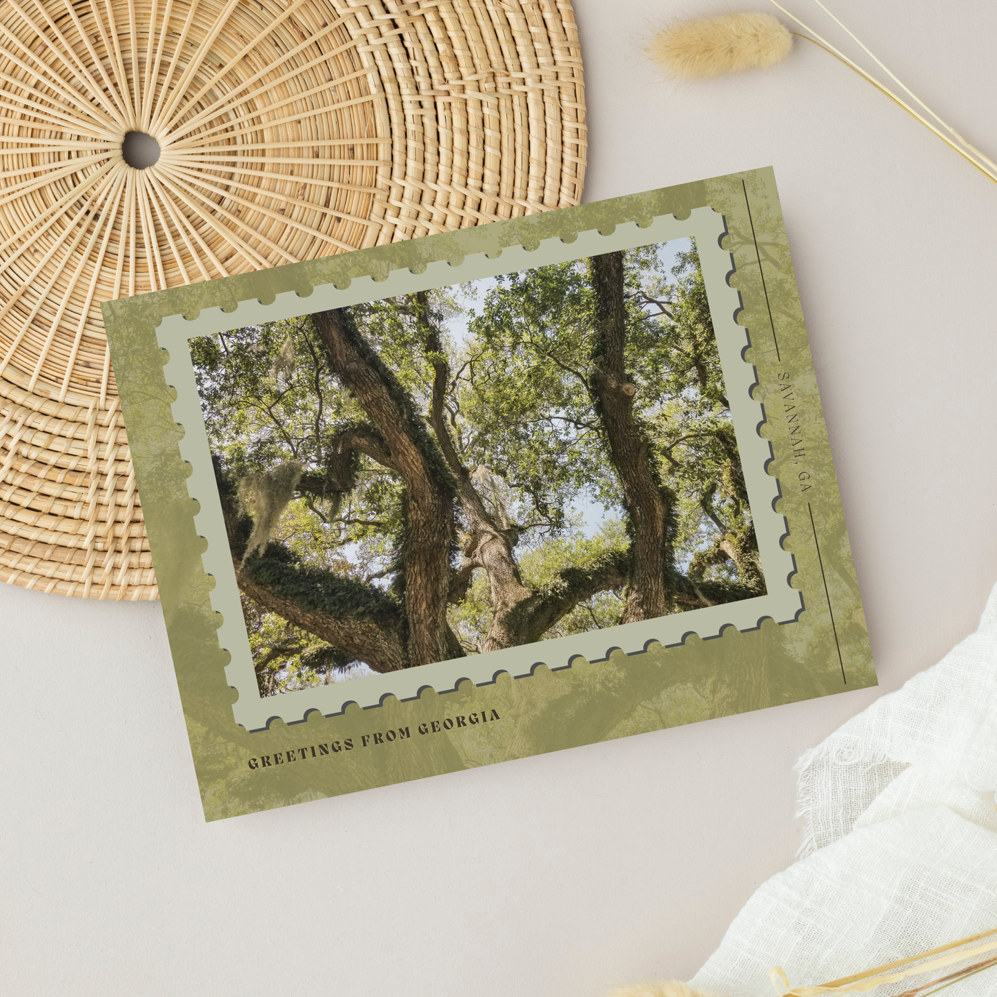 Savannah Oak Postcard