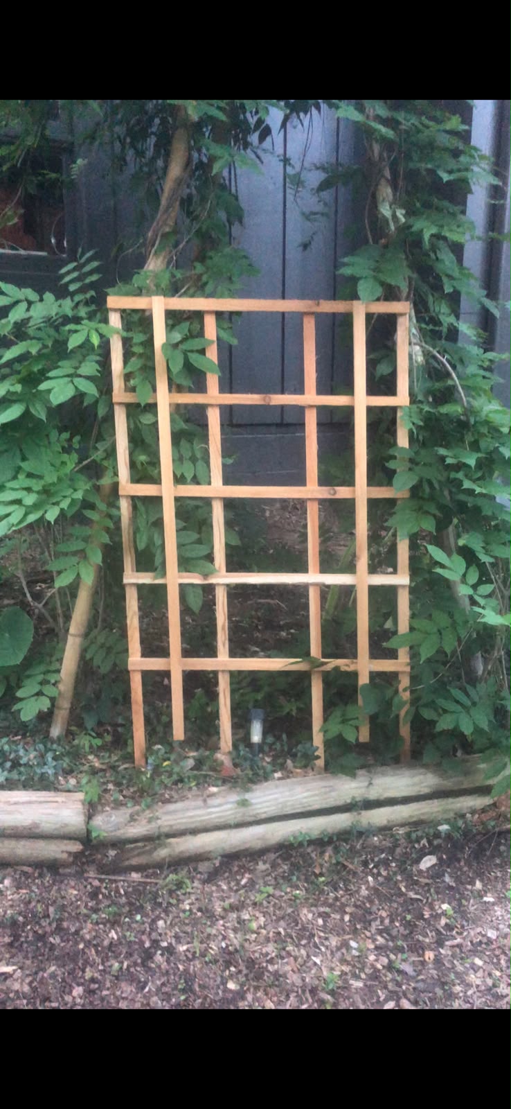 Cedar Trellis (48"x29")