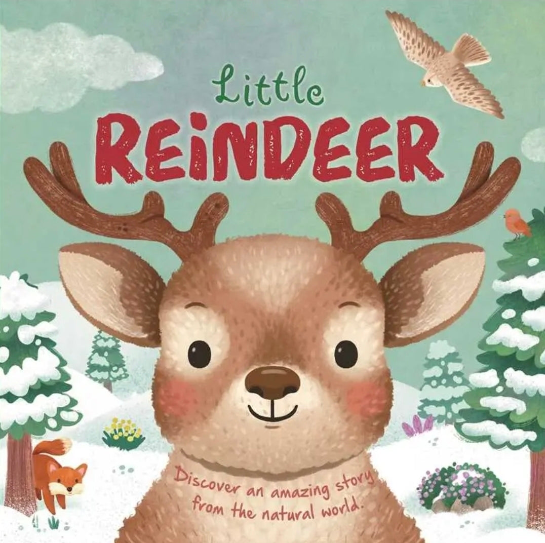 Little Reindeer Book