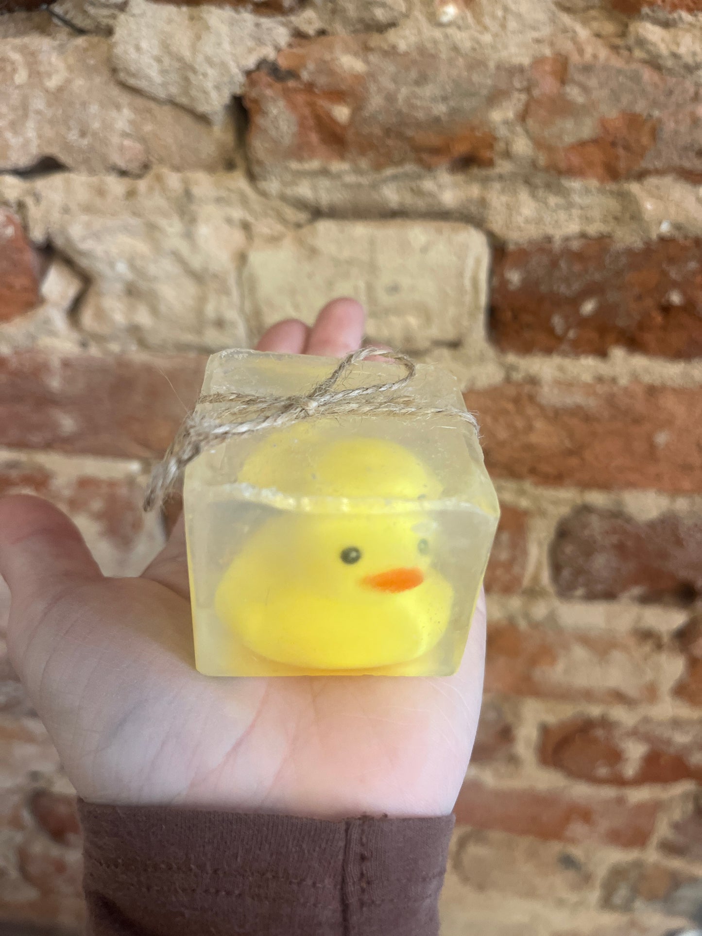 Duck Soap