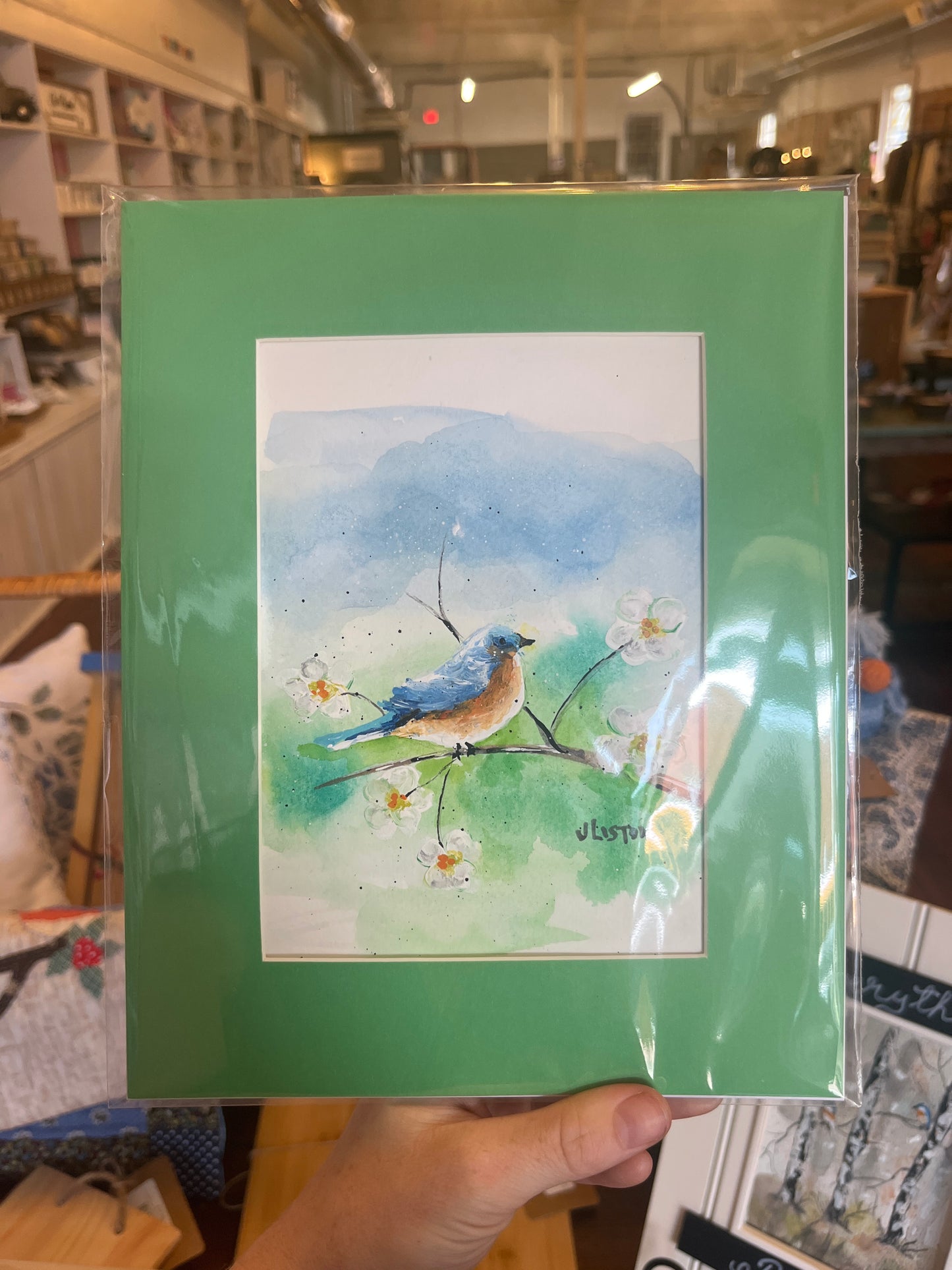 Green Matted Bluebird on Brand