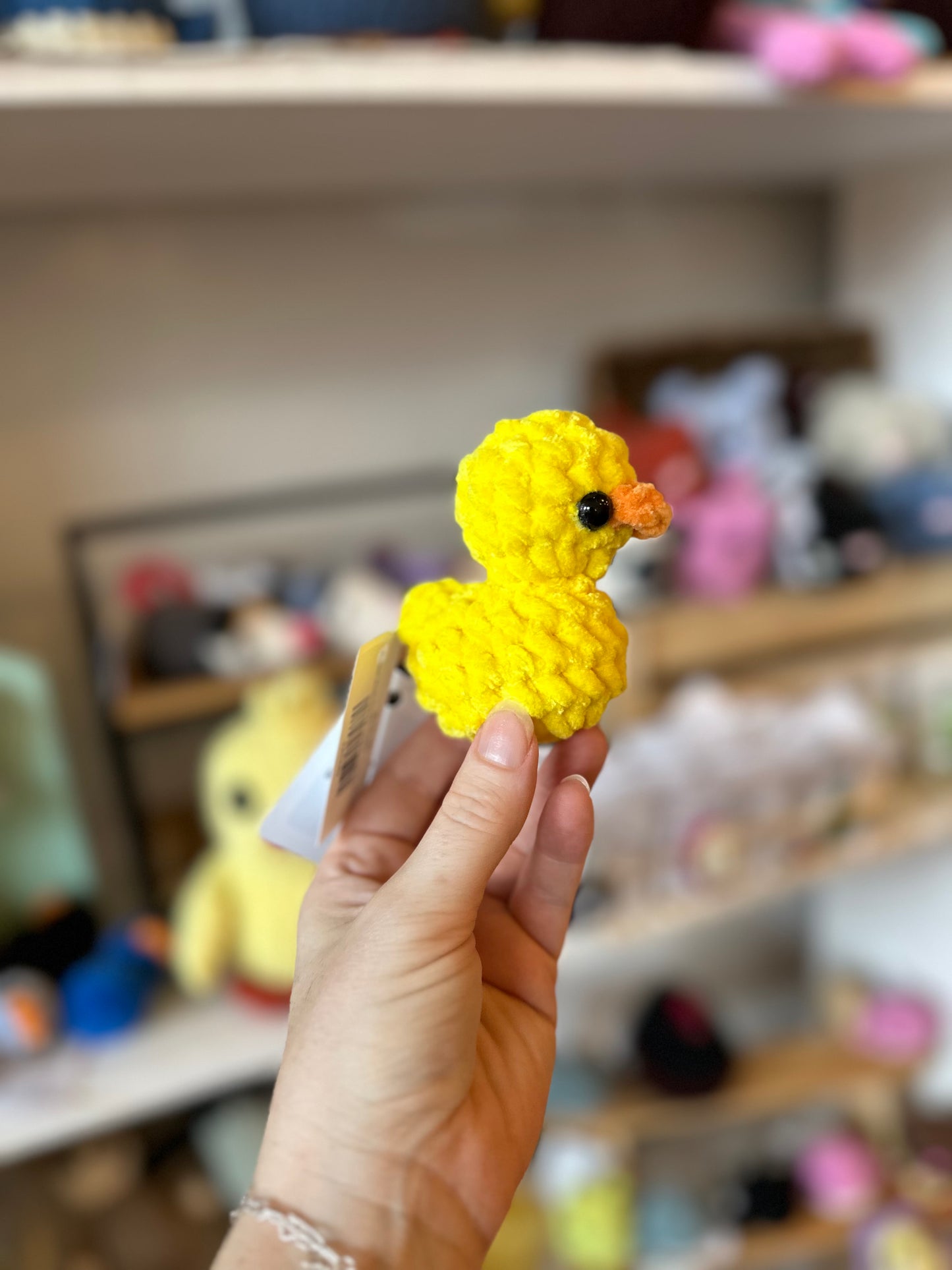 Rubber Duck Plushie