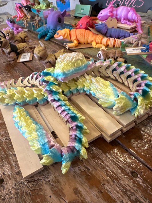Large Rainbow Snake