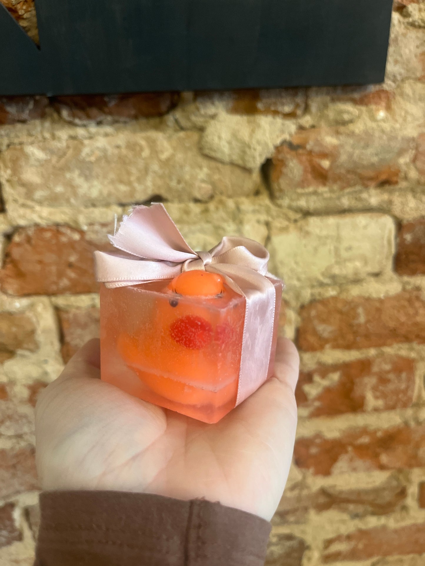 Duck Soap