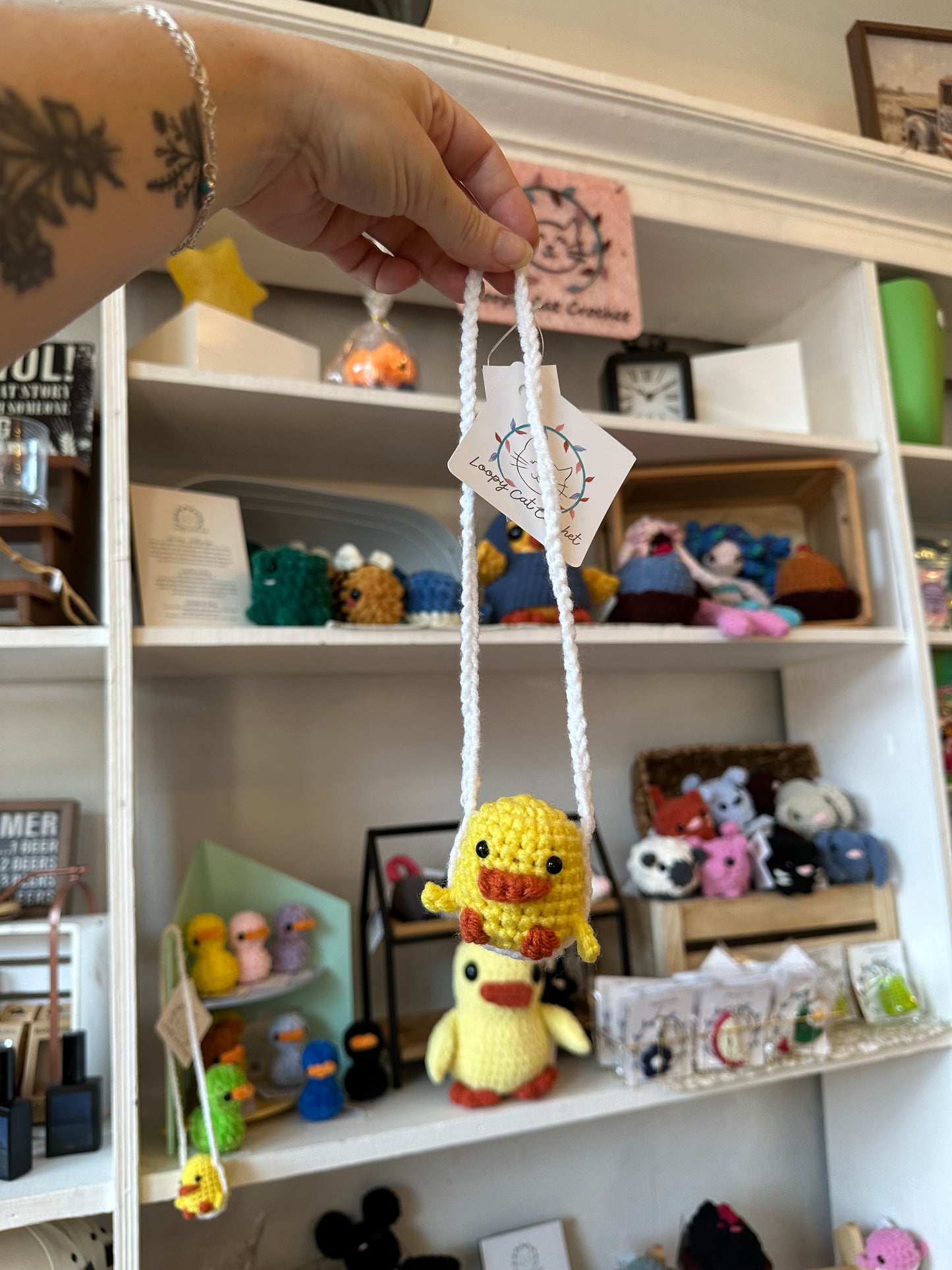 Duck on Swing
