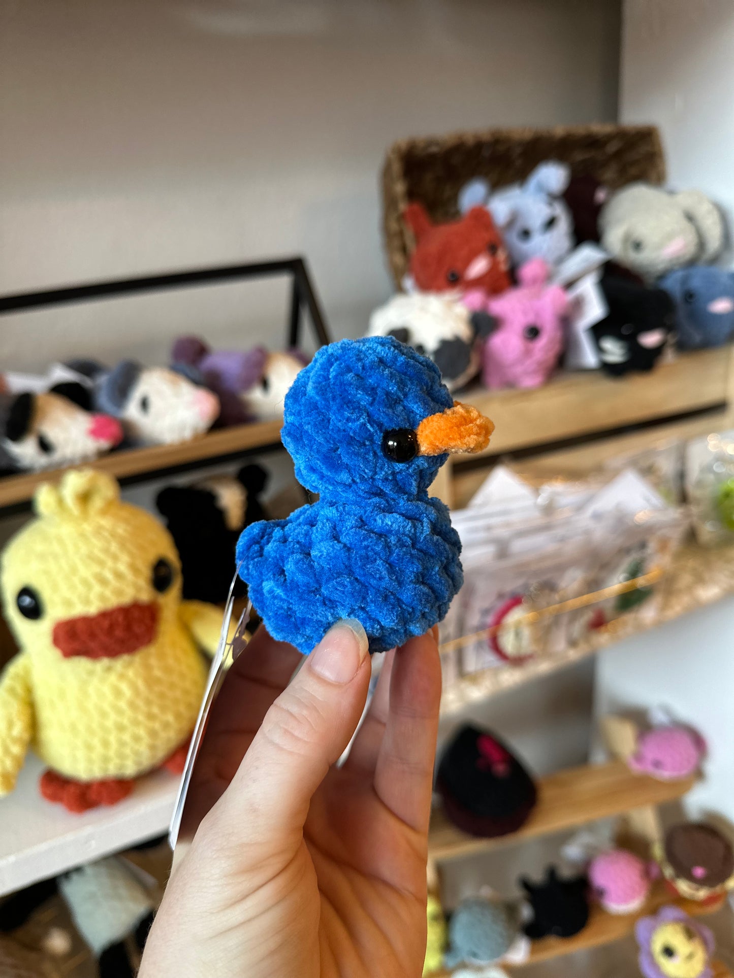Rubber Duck Plushie