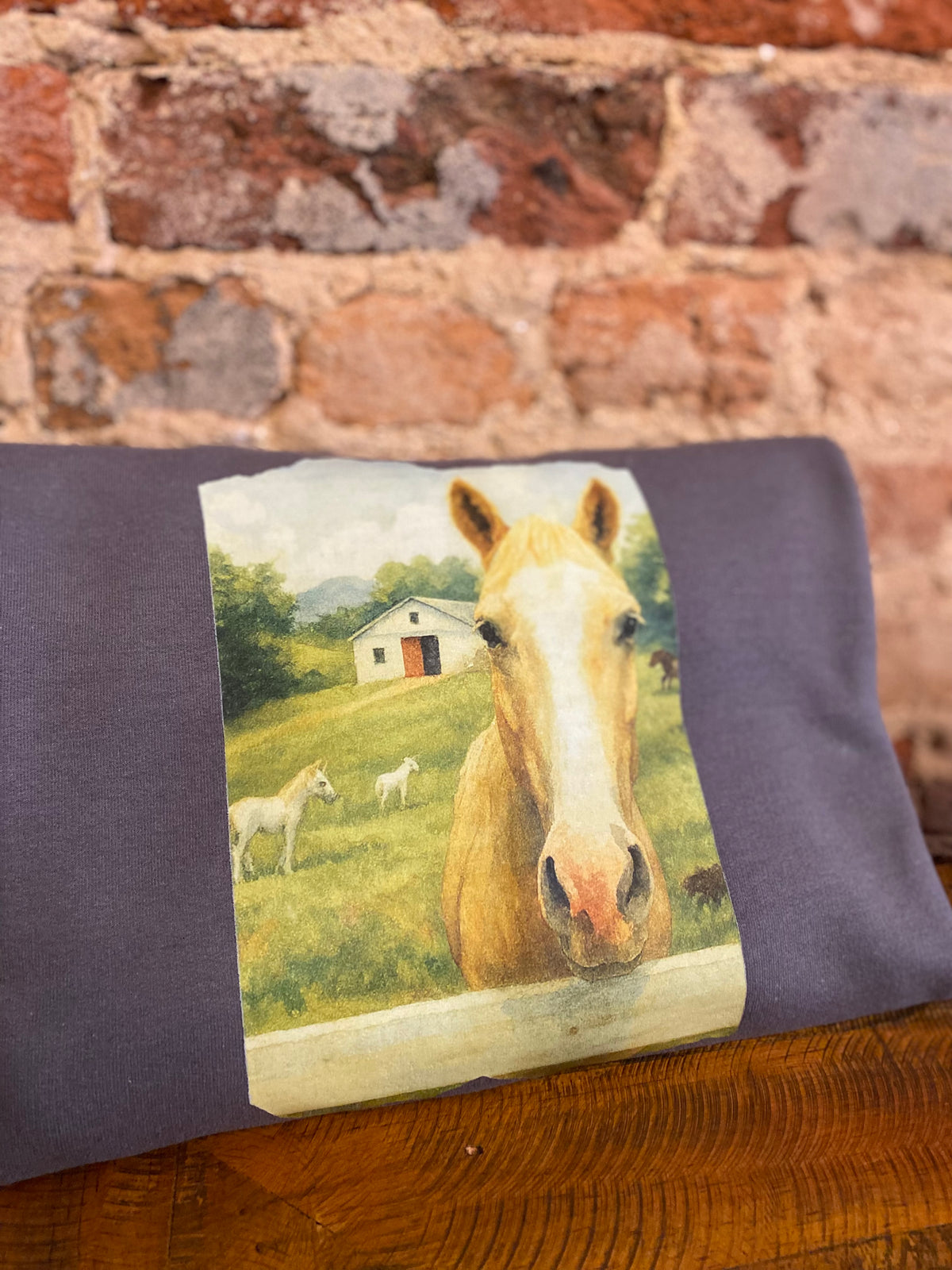 Pasture Sweatshirt