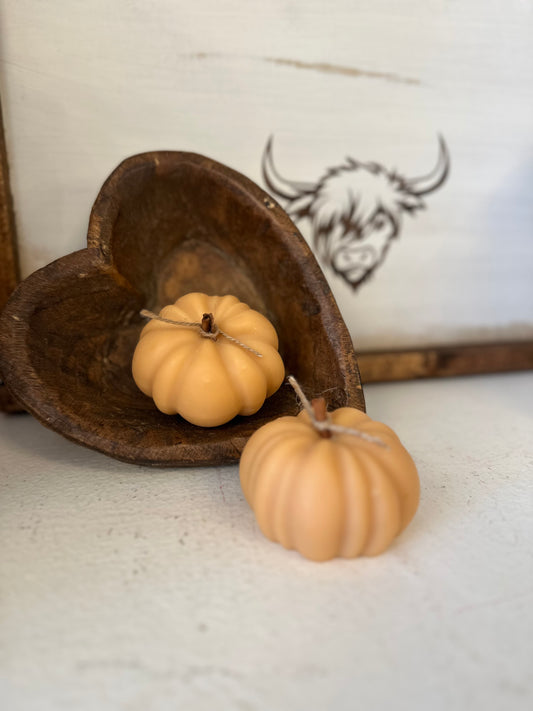 Pumpkin Goat Milk Soap