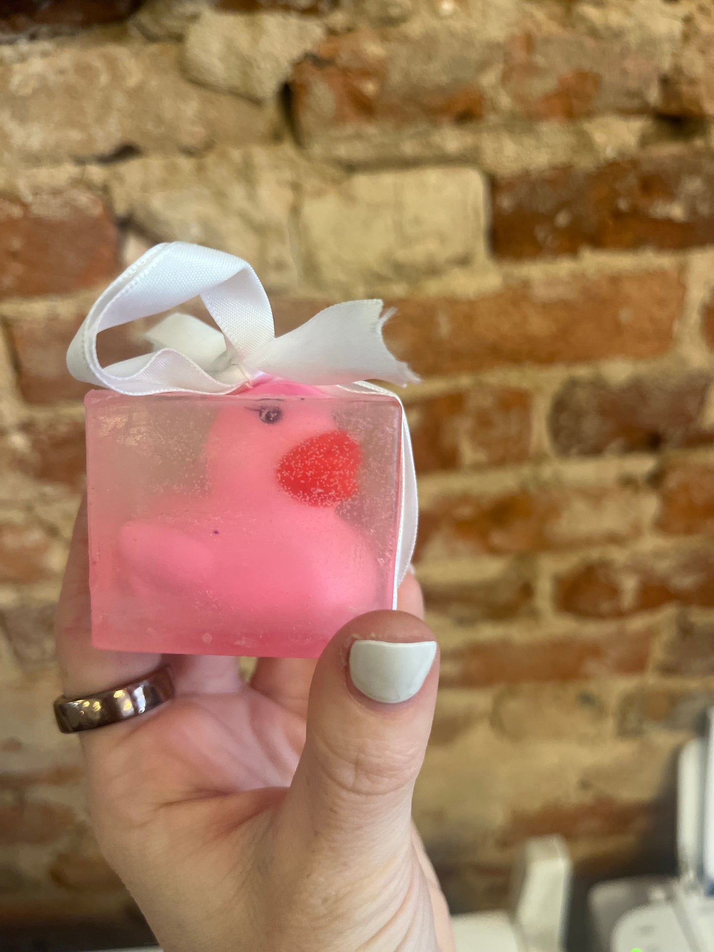 Duck Soap