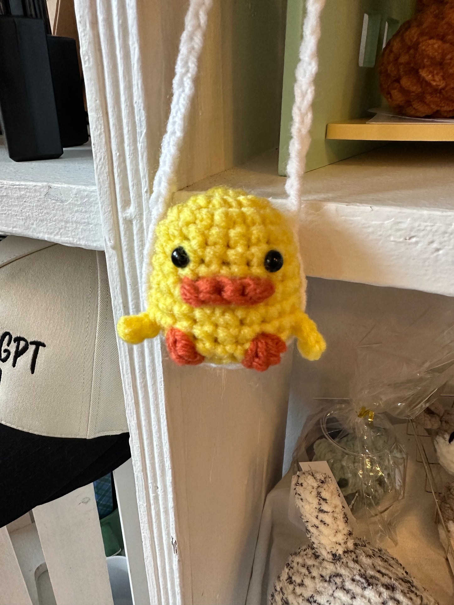 Duck on Swing