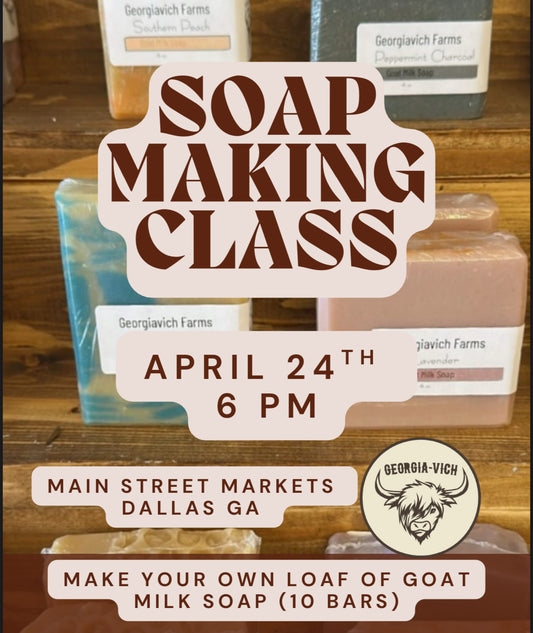 4/24/25 Goat Milk Soap Making Class Dallas, GA