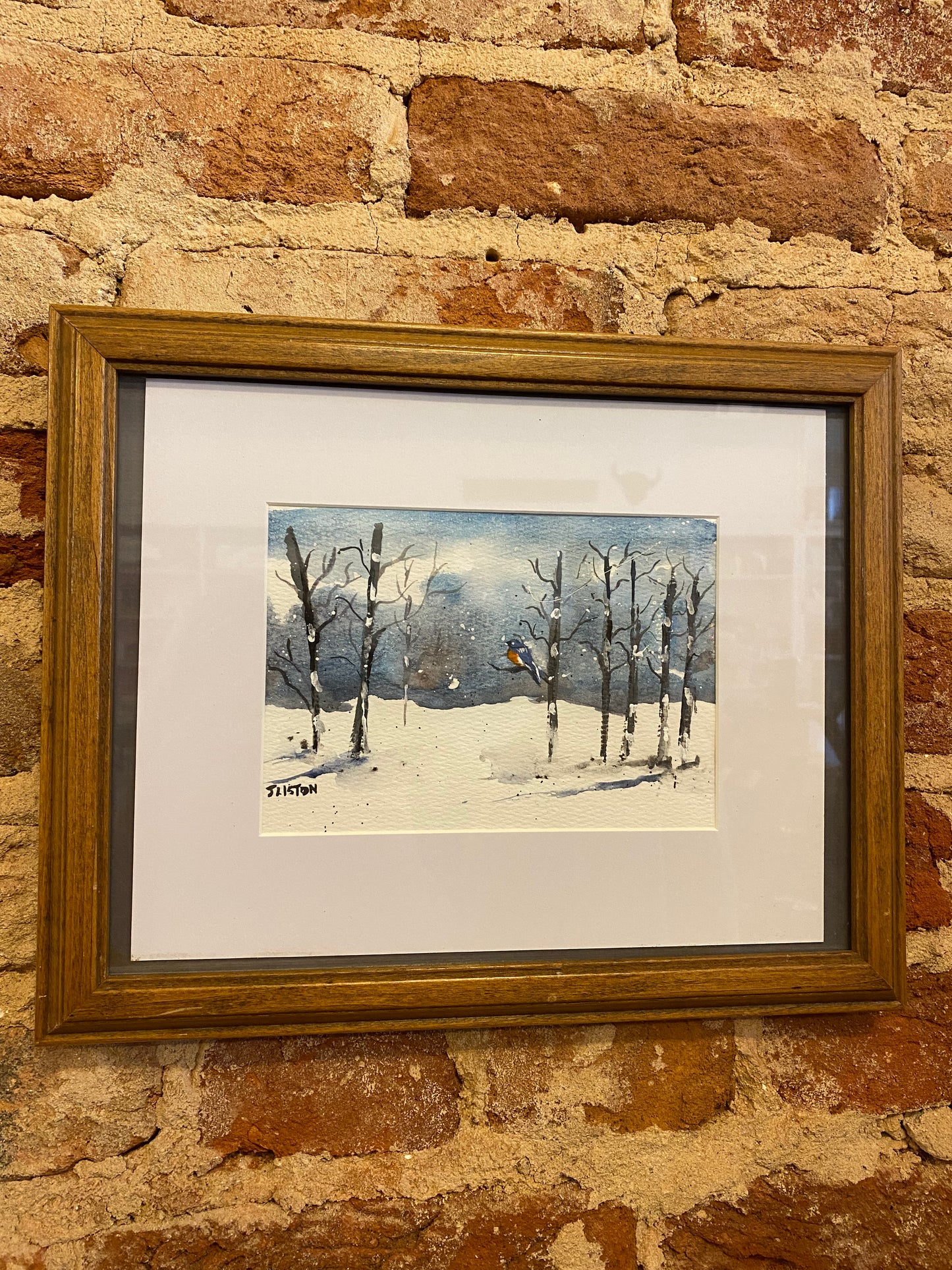 Framed Bluebirds in Birch Trees