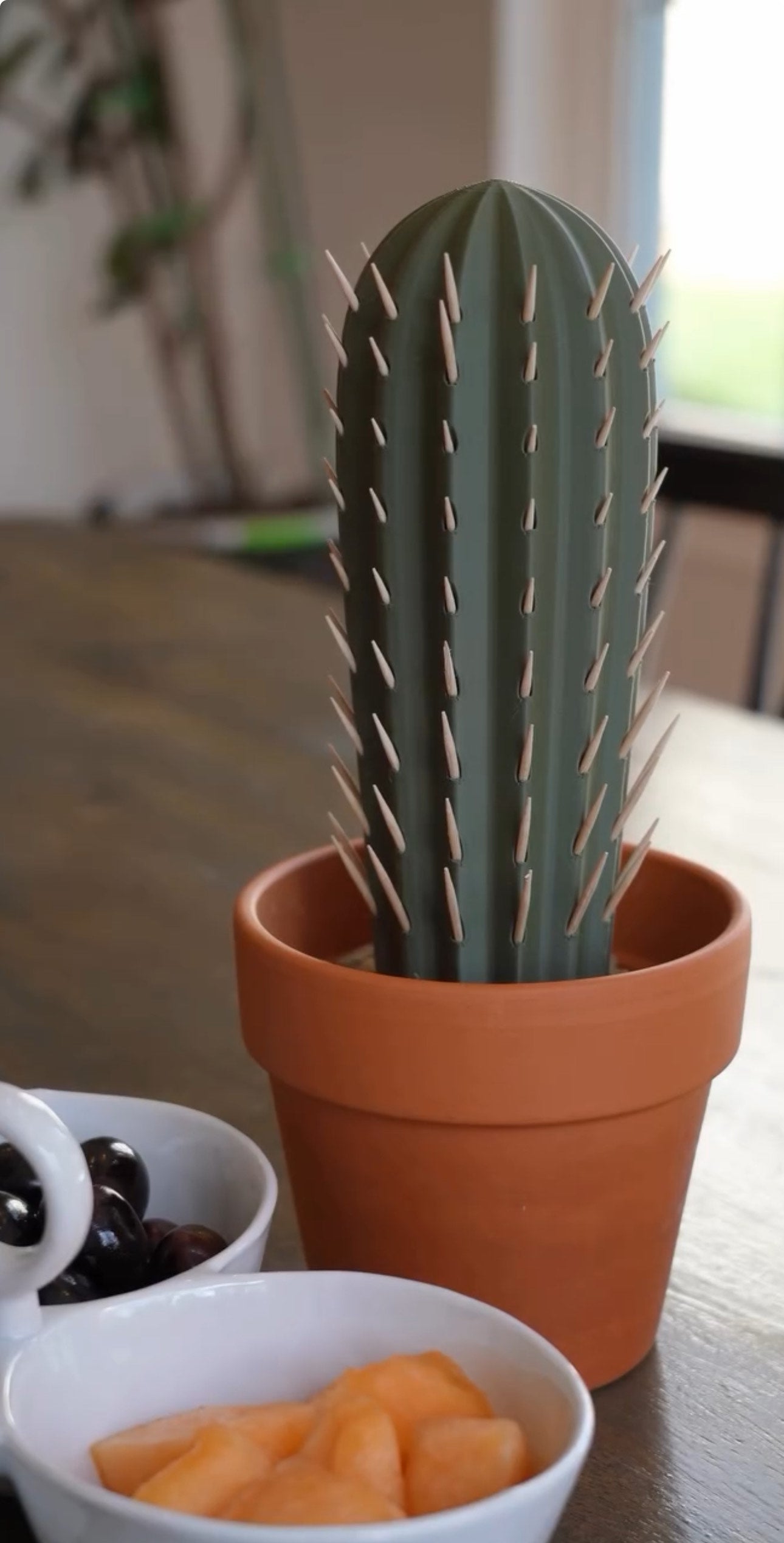 Toothpick Cactus