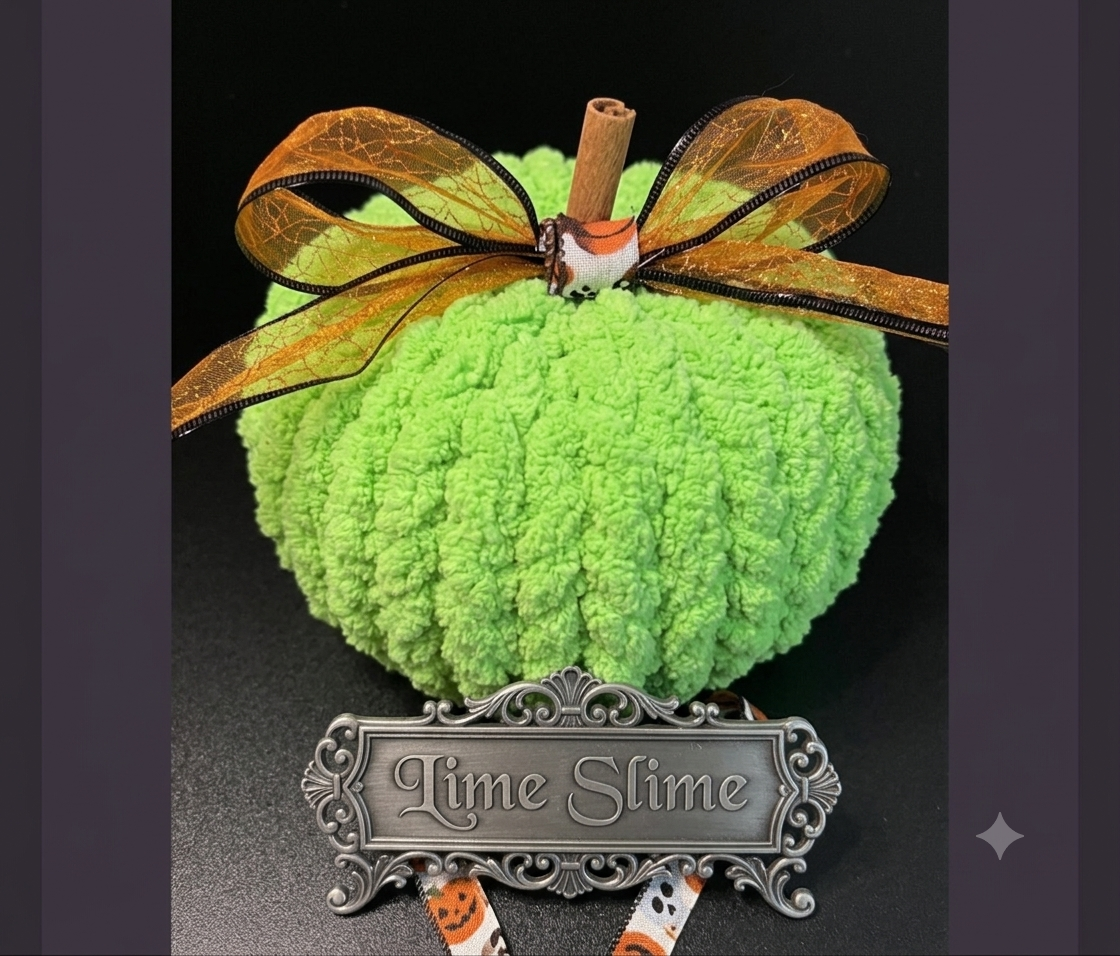 10/3/26 Chunky Knit Pumpkin Workshop - Dallas, GA