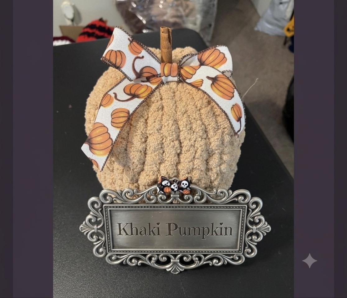 10/3/26 Chunky Knit Pumpkin Workshop - Dallas, GA