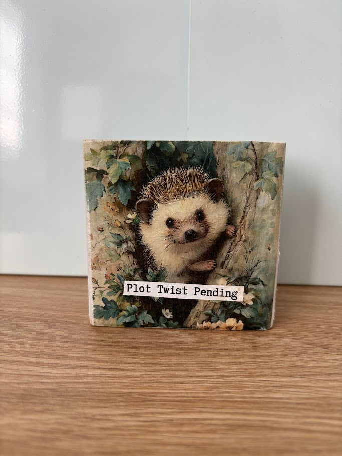 Wooden Shelf Sitters