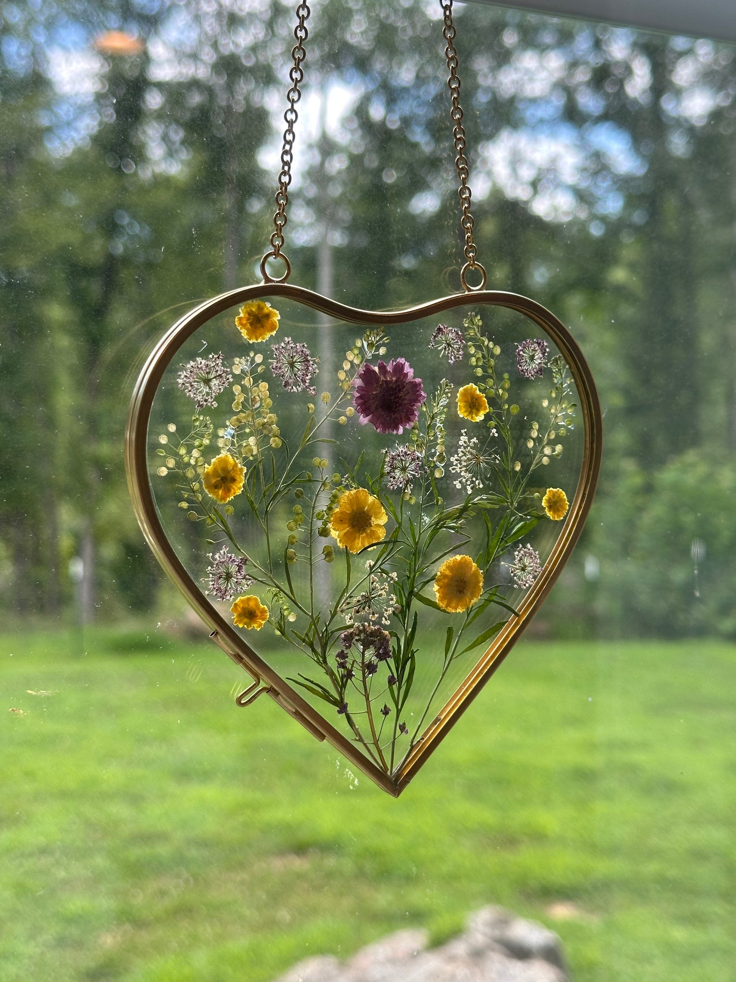 Sun Catcher