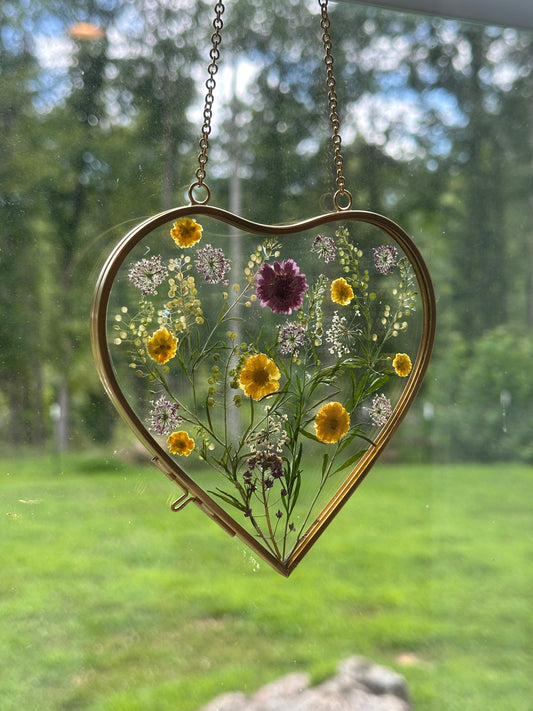 Sun Catcher