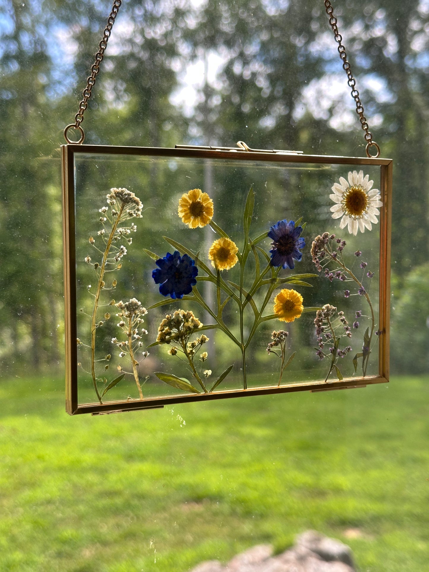 Sun Catcher