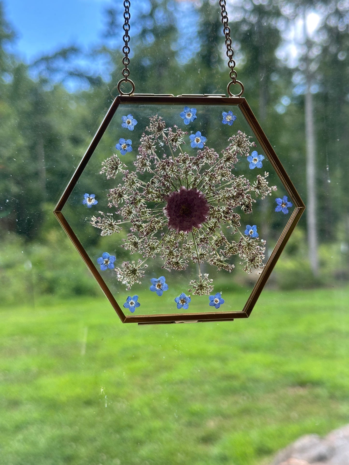 Sun Catcher