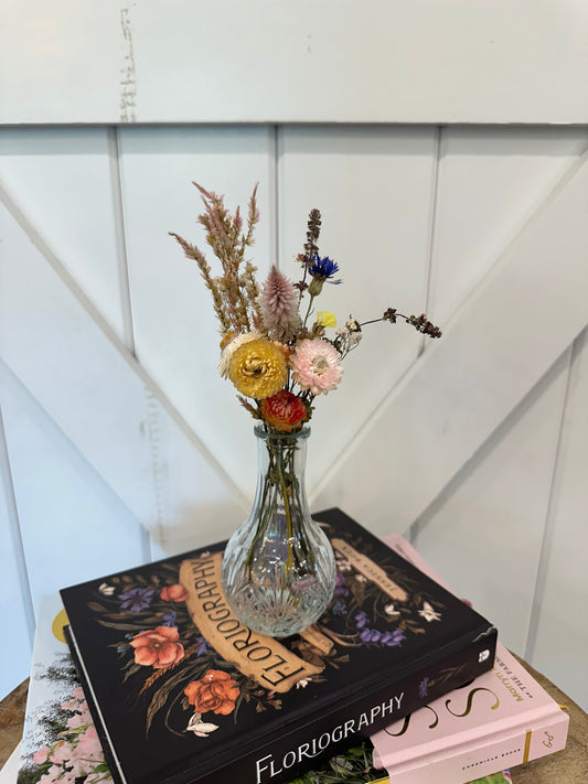 Dried Faerie Jar
