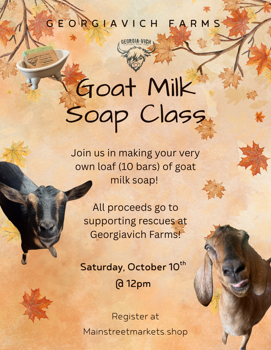 10/10/26 Goat Milk Soap Making Class - Dallas, GA