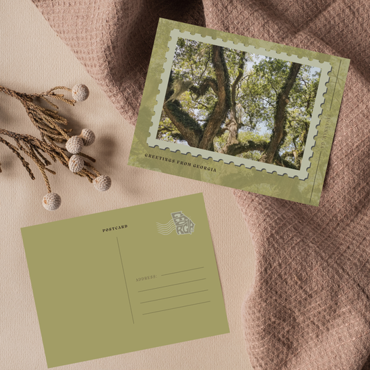 Savannah Oak Postcard