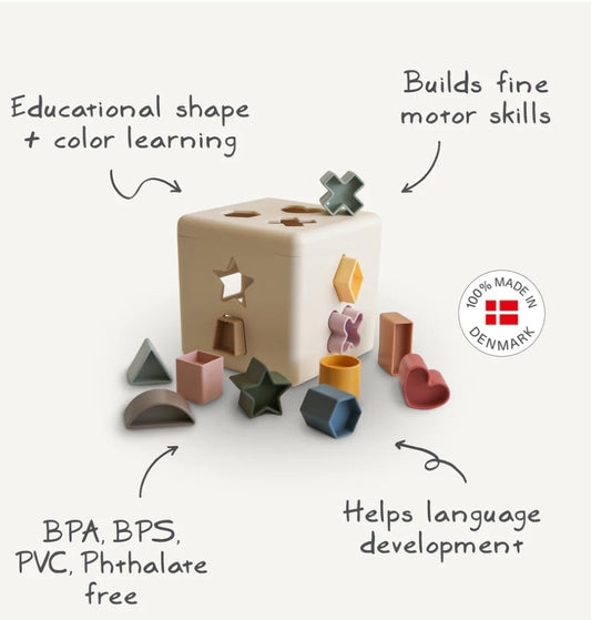 Shape Sorting Box