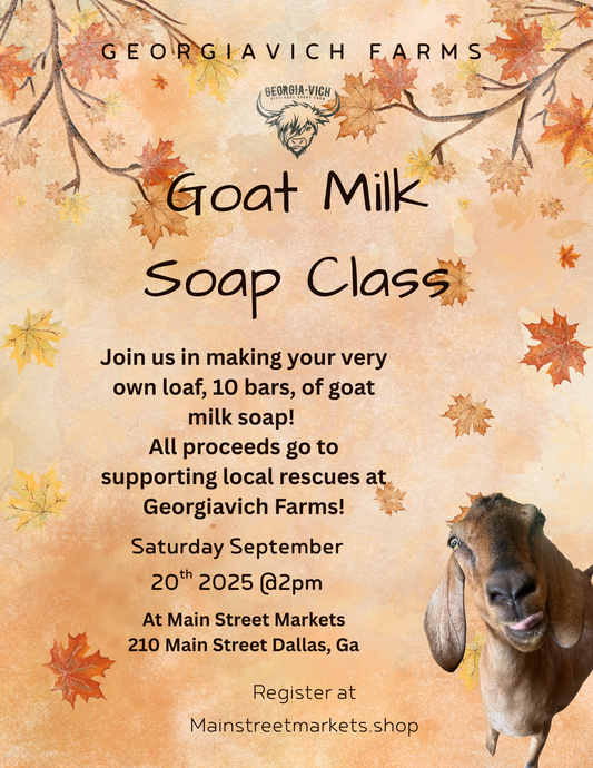 9/20/25 -Goat Milk Soap Making - Dallas, Ga