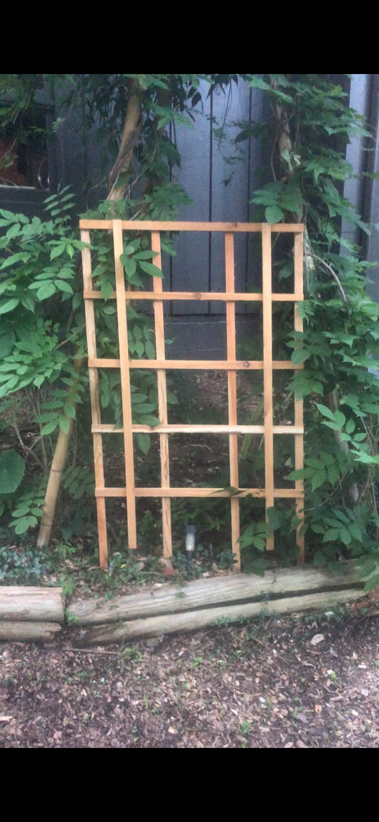 Cedar Trellis (48"x29")
