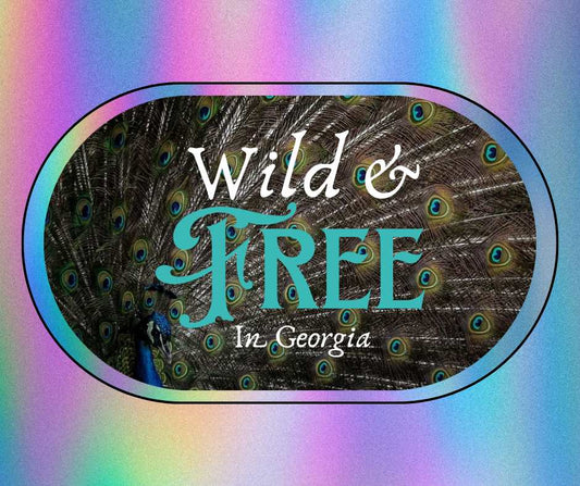 Wild & Free Sticker